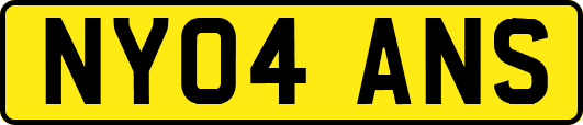 NY04ANS