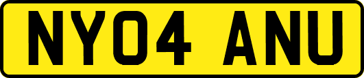 NY04ANU