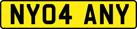NY04ANY