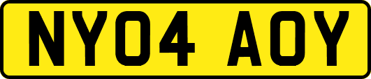 NY04AOY