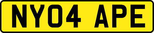 NY04APE