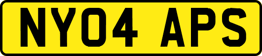 NY04APS