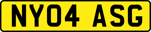 NY04ASG