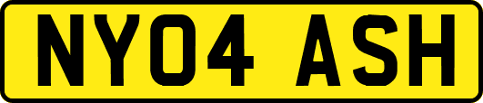 NY04ASH