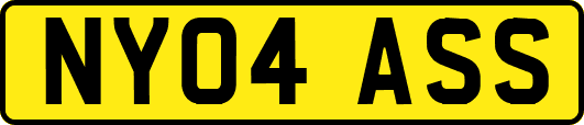 NY04ASS