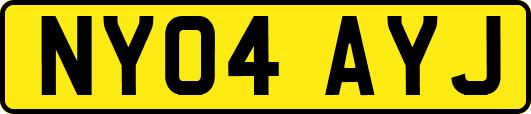 NY04AYJ