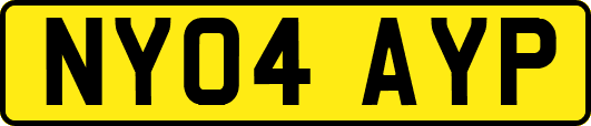 NY04AYP