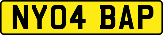 NY04BAP