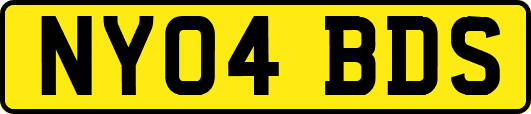 NY04BDS