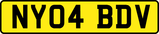 NY04BDV