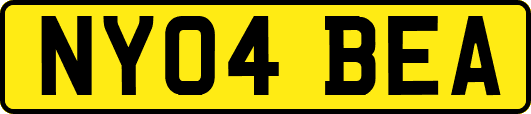NY04BEA