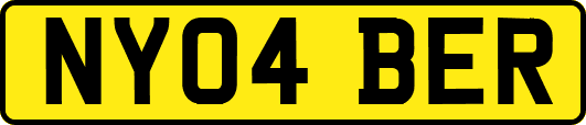 NY04BER