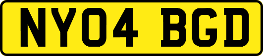 NY04BGD