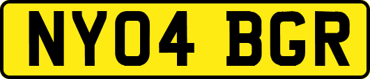 NY04BGR