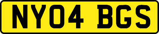 NY04BGS