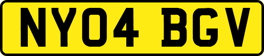 NY04BGV