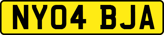 NY04BJA