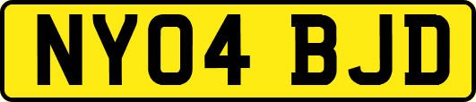 NY04BJD