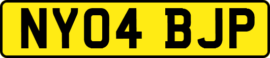NY04BJP