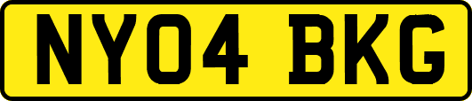 NY04BKG