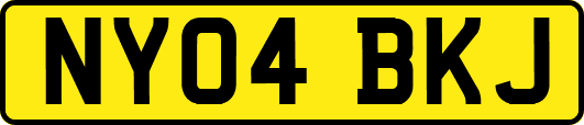 NY04BKJ