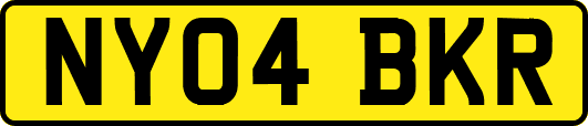 NY04BKR