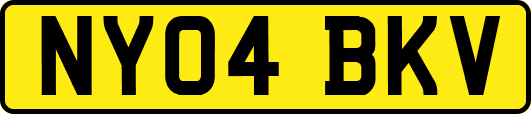 NY04BKV