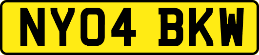 NY04BKW