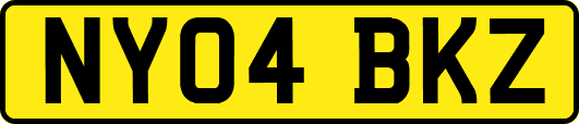 NY04BKZ