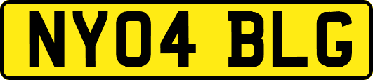 NY04BLG