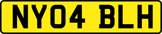 NY04BLH