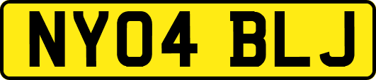 NY04BLJ