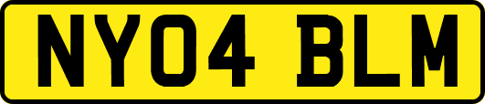 NY04BLM
