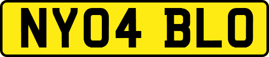 NY04BLO