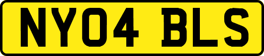 NY04BLS