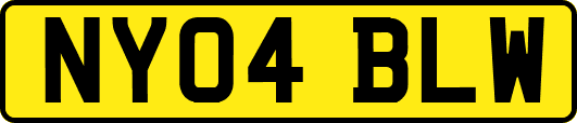 NY04BLW