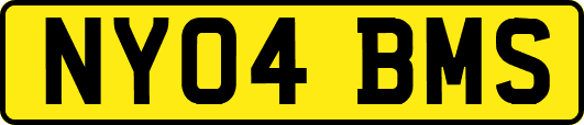 NY04BMS