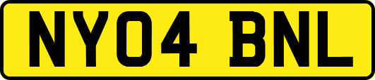 NY04BNL