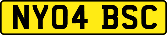 NY04BSC