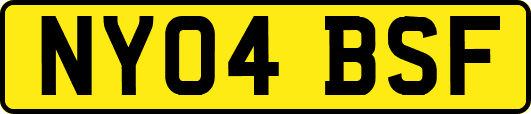 NY04BSF