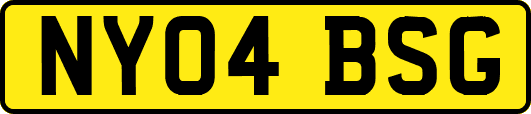 NY04BSG