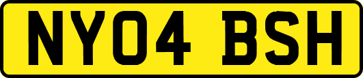 NY04BSH