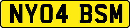 NY04BSM