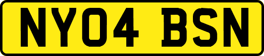 NY04BSN