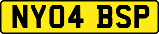 NY04BSP