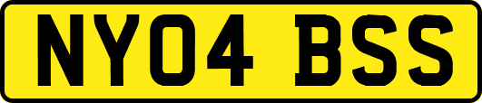 NY04BSS