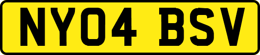 NY04BSV