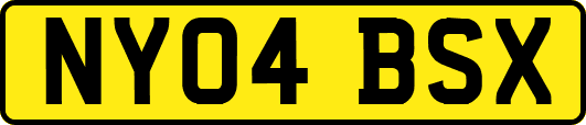 NY04BSX