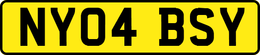 NY04BSY