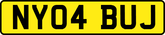 NY04BUJ